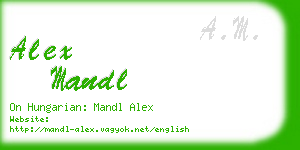 alex mandl business card